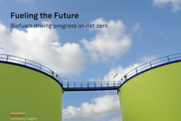 Fueling the Future: Biofuels Driving Progress on Net Zero