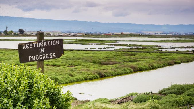 Wetlands restoration in San Francisco Bay Area