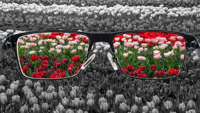 Bright flowers through glasses