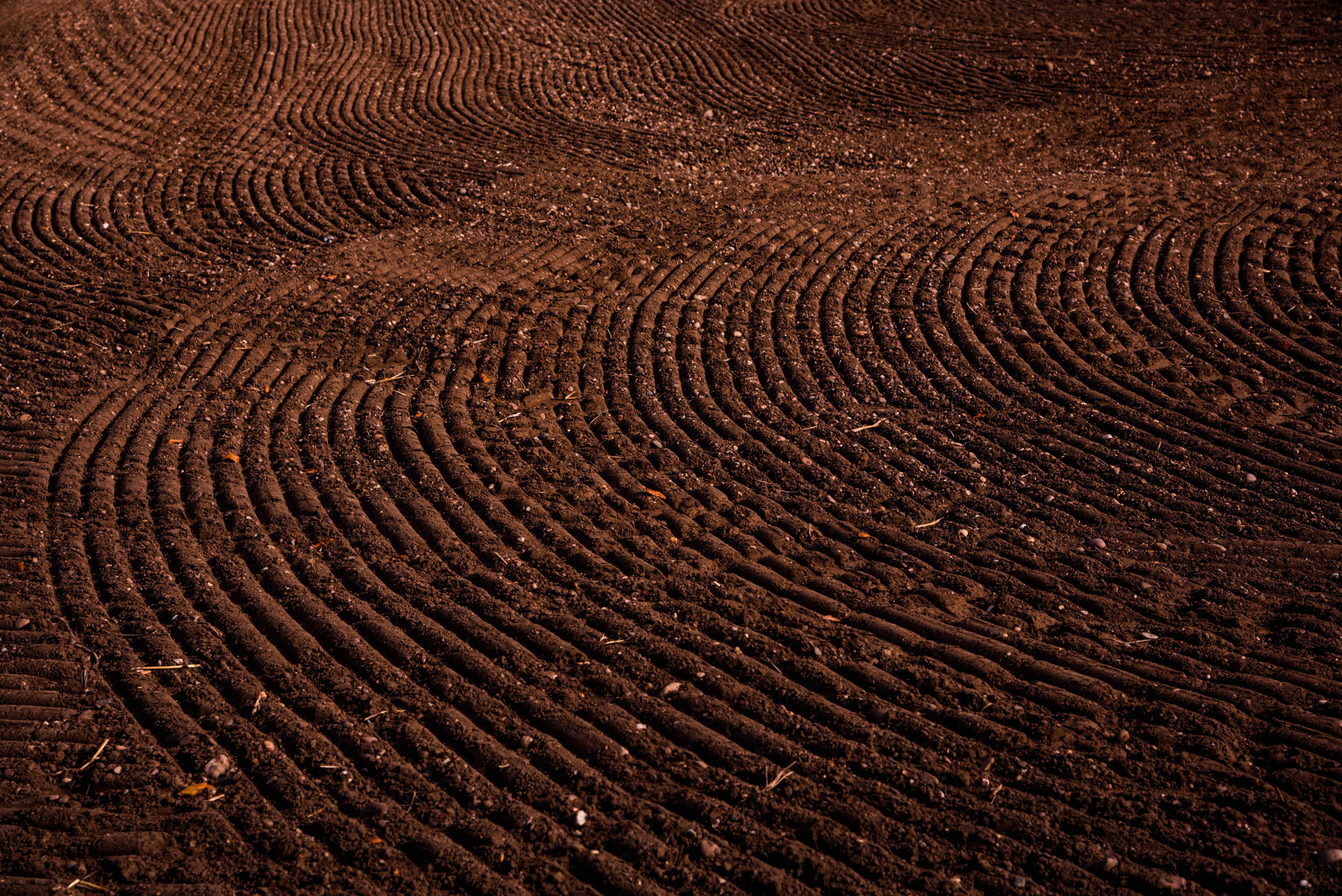 Rich soil on an agricultural field