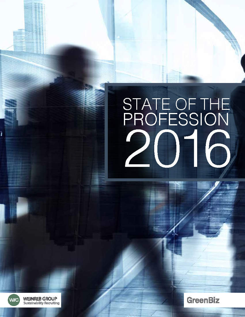 State of the Profession 2016 Report cover