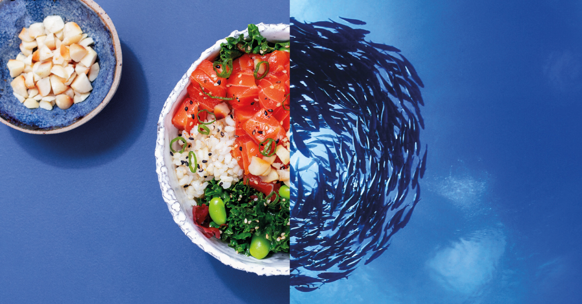 MSC sustainable seafood
