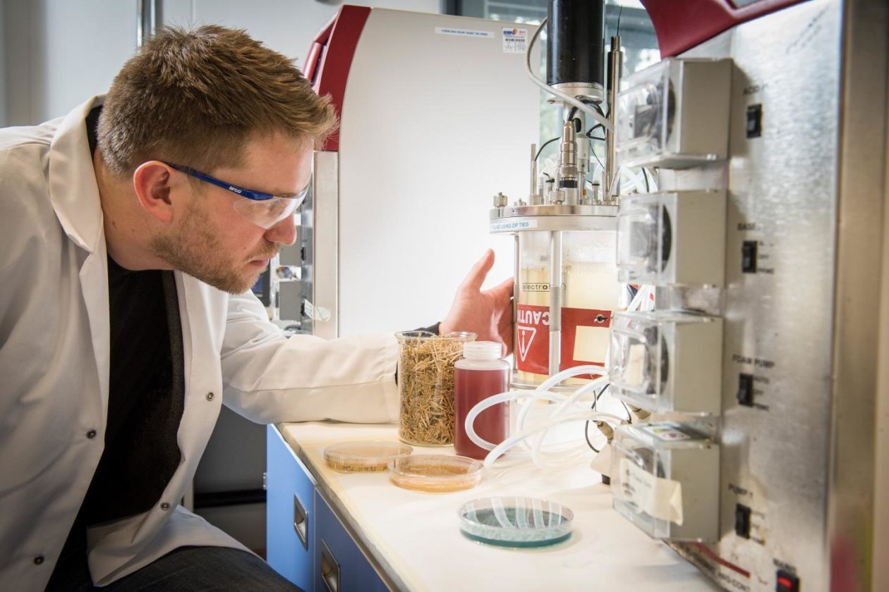 Christopher Chuck, a chemical engineer at the University of Bath, is working to produce yeast able to generate more oil from cheaper feedstocks. UNIVERSITY OF BATH