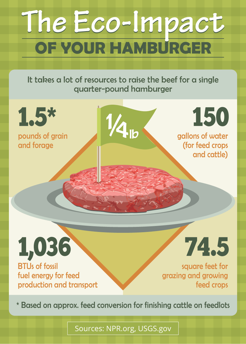 A graphic of the ecological impacts of burgers