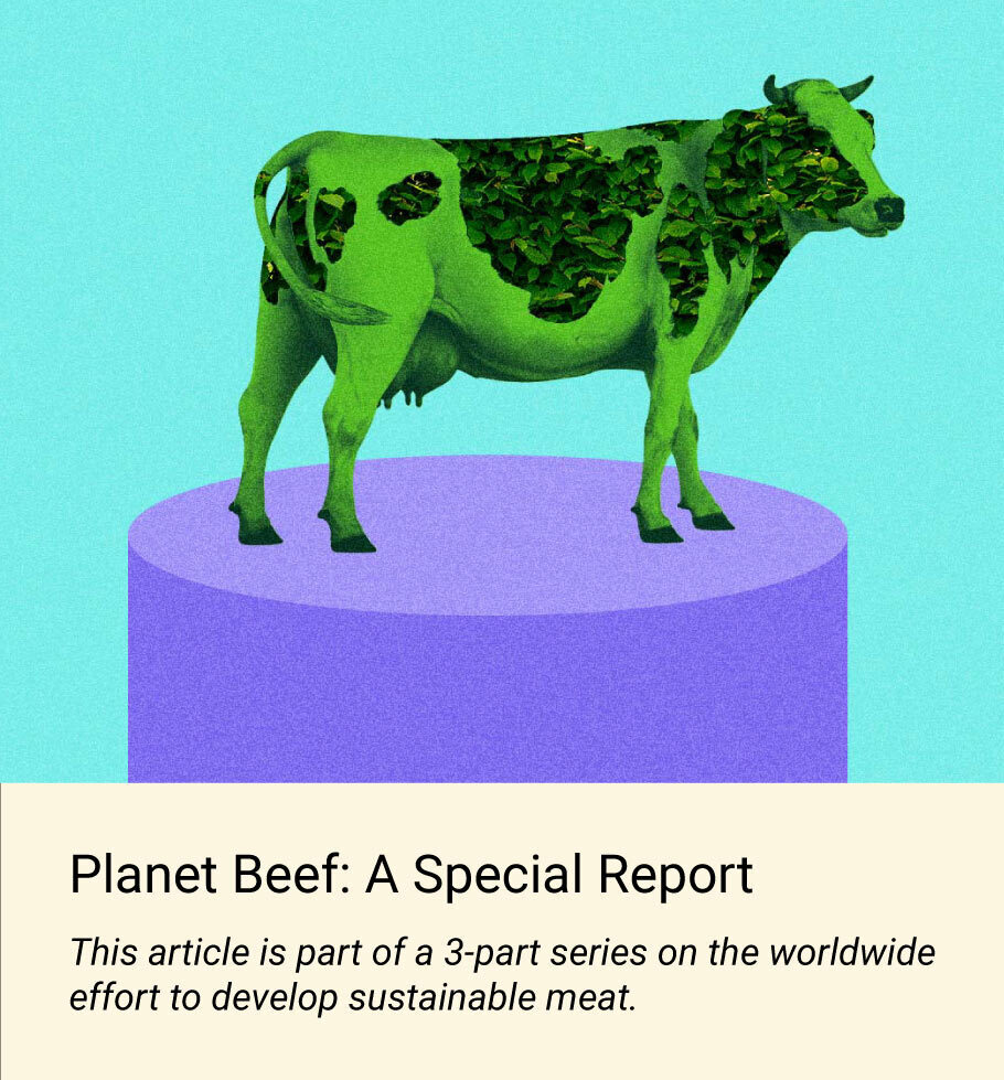 The story of McDonald’s 10-year quest for sustainable beef