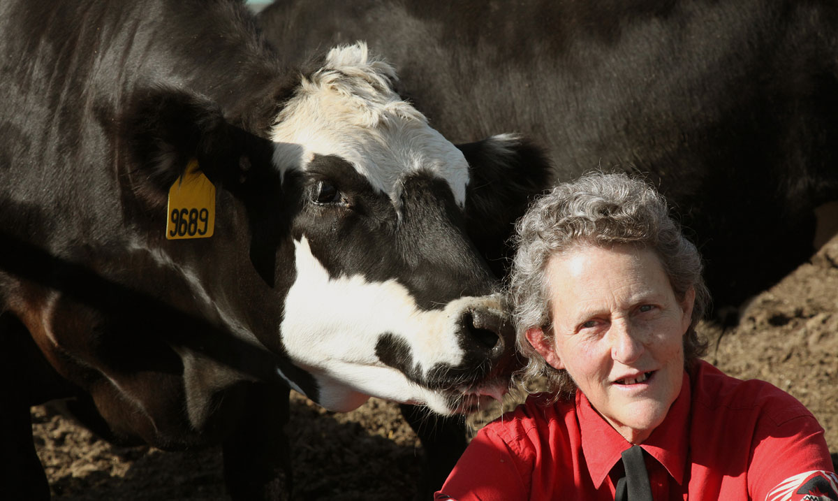 Animal welfare expert Temple Grandin: Creative problem-solving takes visual  minds | Greenbiz