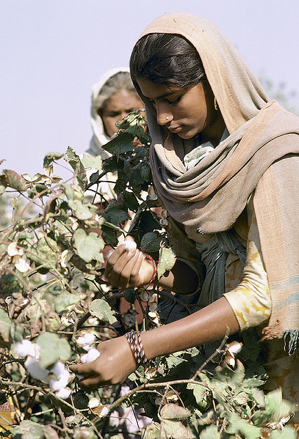 Credit: World Bank Photo Collection via Flickr