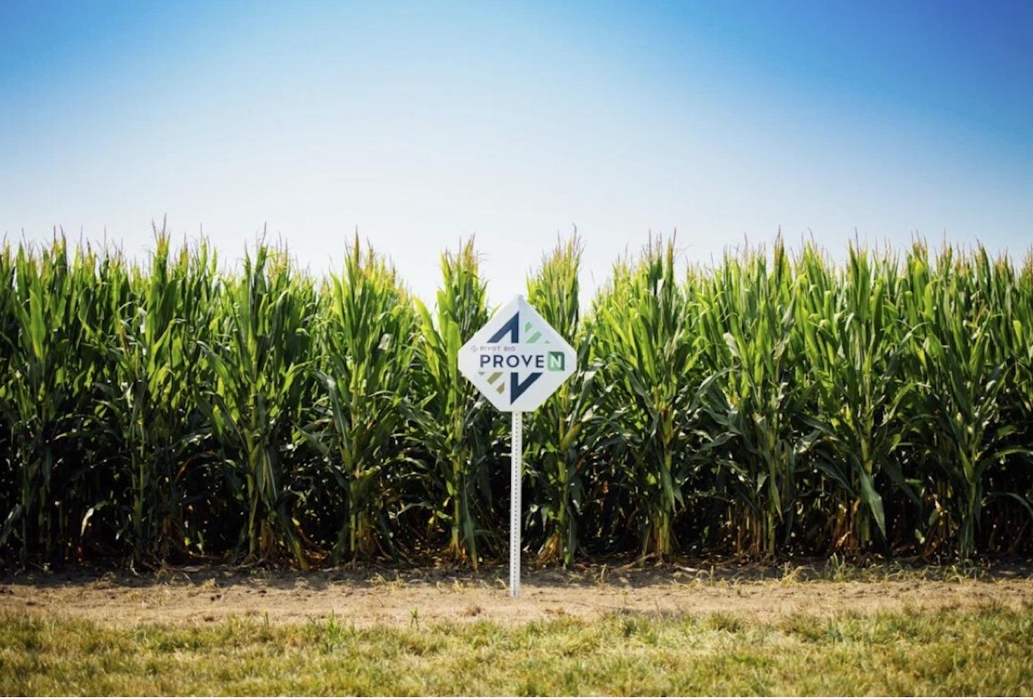 Corn field with pivot bio sign