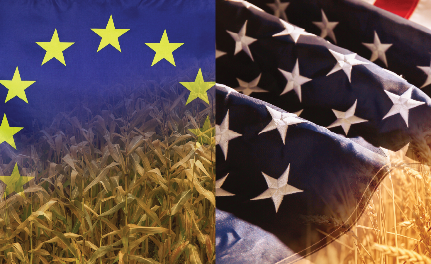 EU and US flags on wheat