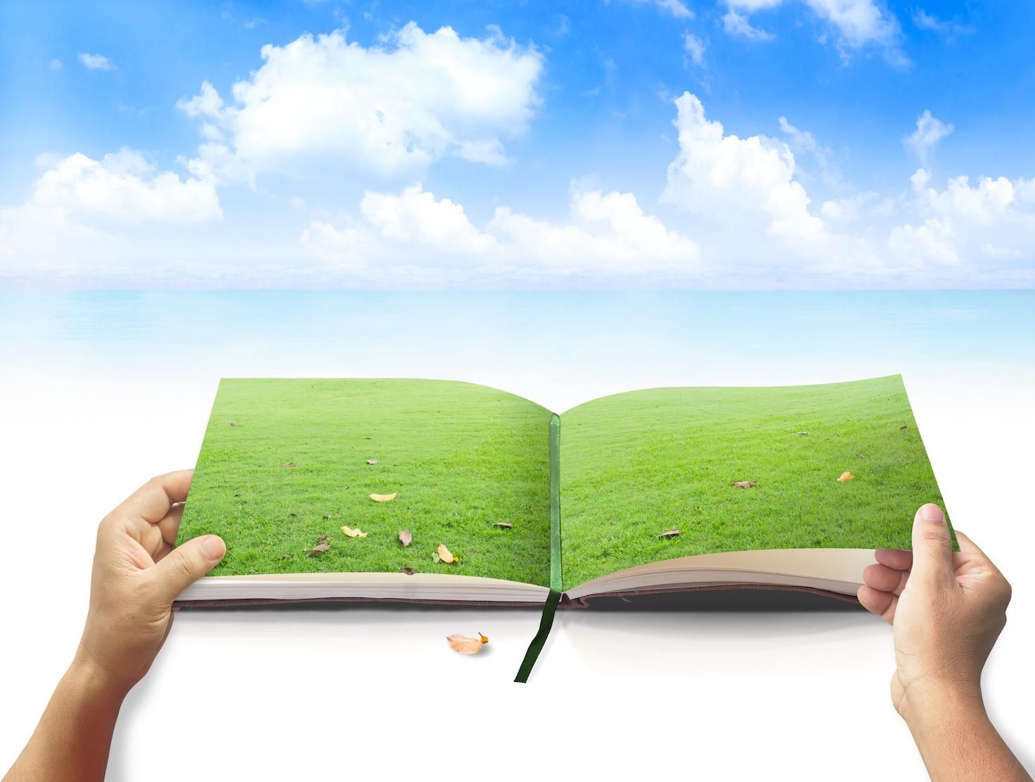 Illustration of a book showing the page opened to a green field.