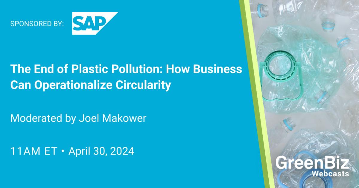How Businesses Can Implement Circular Strategies to End Plastic Pollution