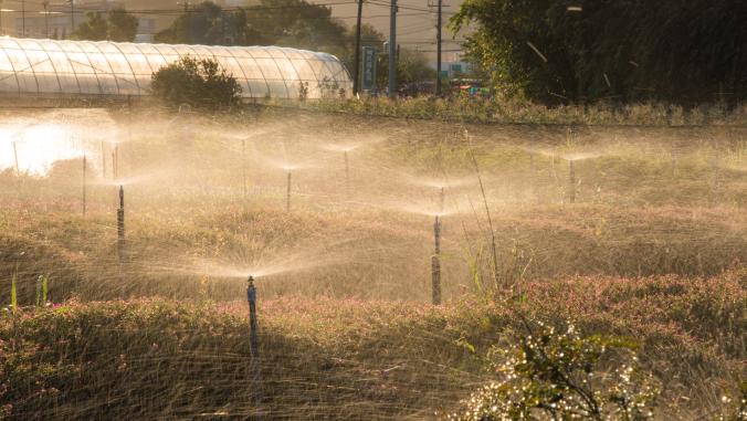 Sprinklers on farm