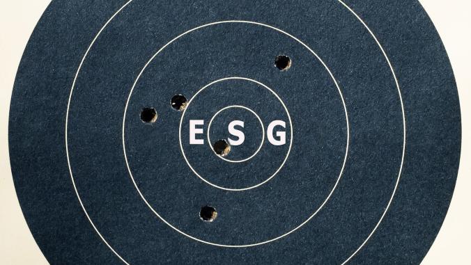 ESG target