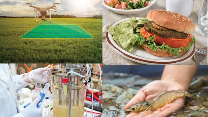 Images of drones, shrimp, bioreactor and plant-based burger 