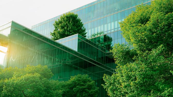 A glass office building with large, green trees around it