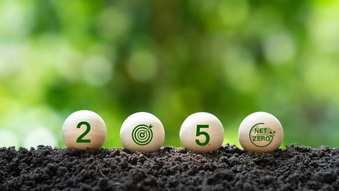 4 wooden balls, on top of soil, spelling out the year 2050