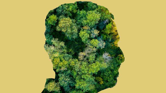 Silhouette of the author's head in profile, covered with trees.