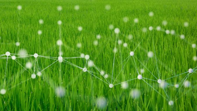 'Smart' agriculture done with machine learning.