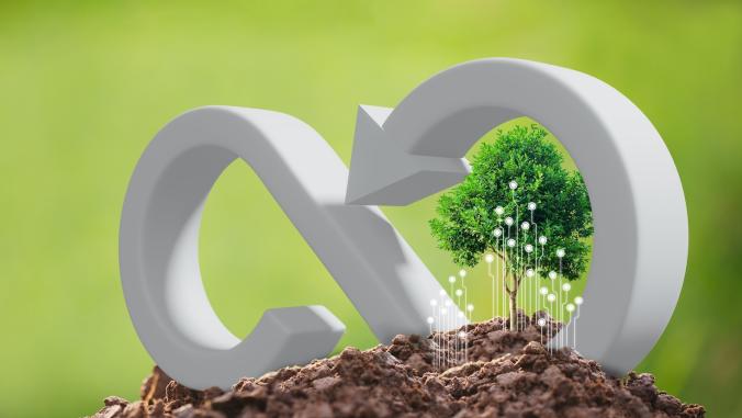 Circular economy logo and a plant on top of soil