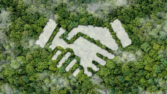 Aerial view of a forest and an image of a handshake (partnership/ESG concept))